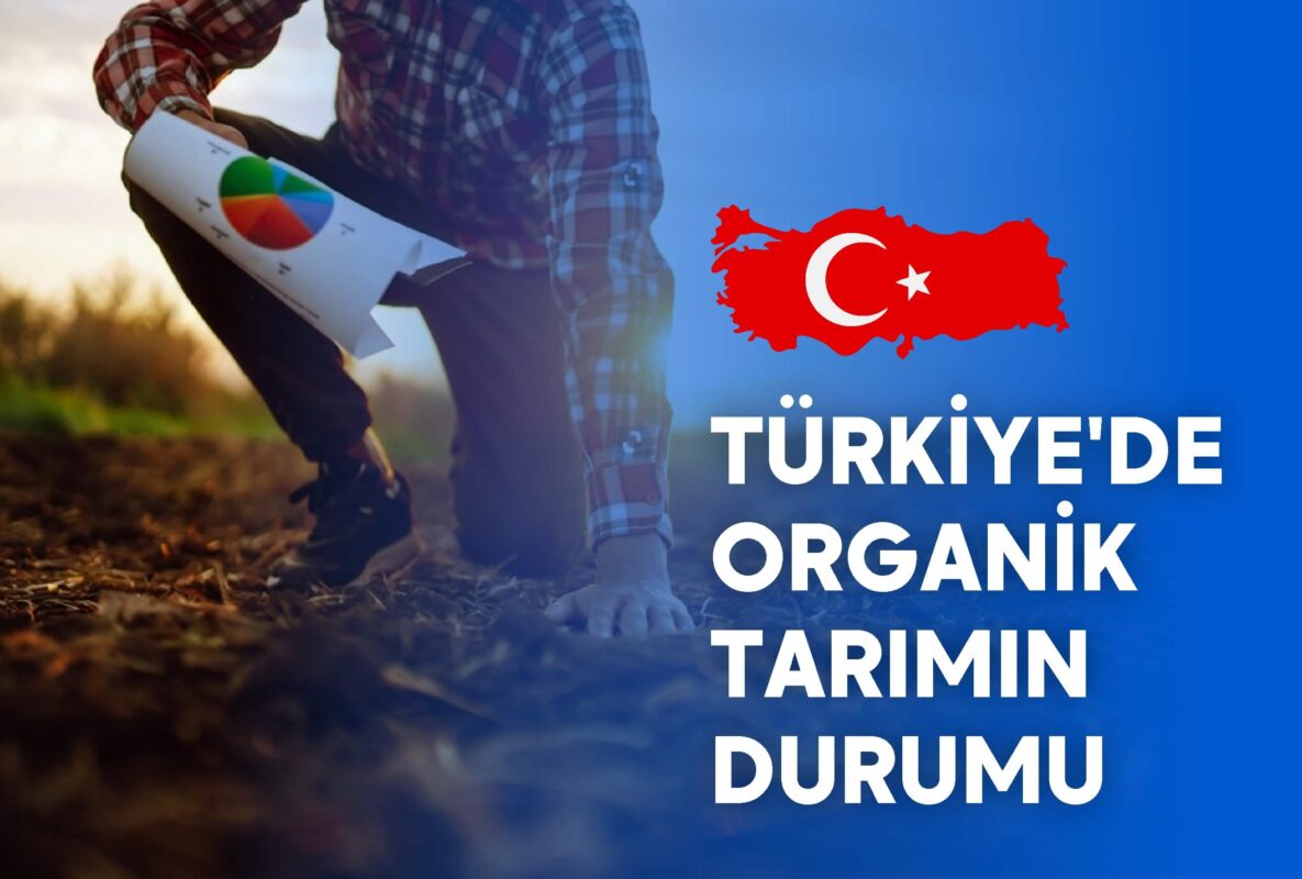 organik tarım