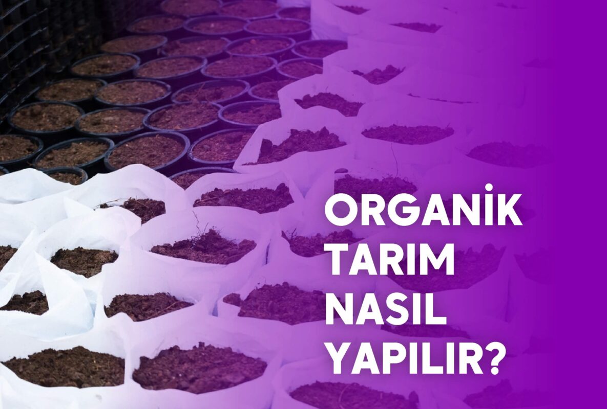 organik tarım nasıl yapılır